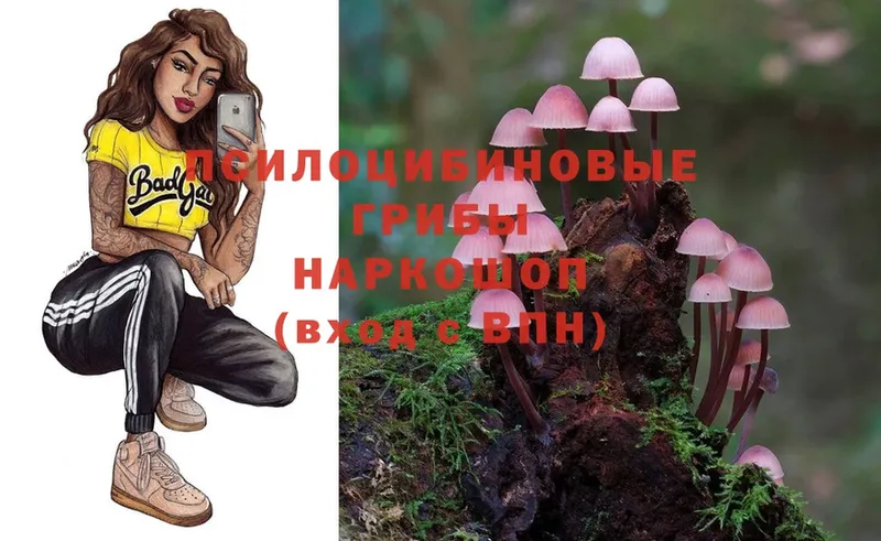 Псилоцибиновые грибы MAGIC MUSHROOMS  купить закладку  Болотное 